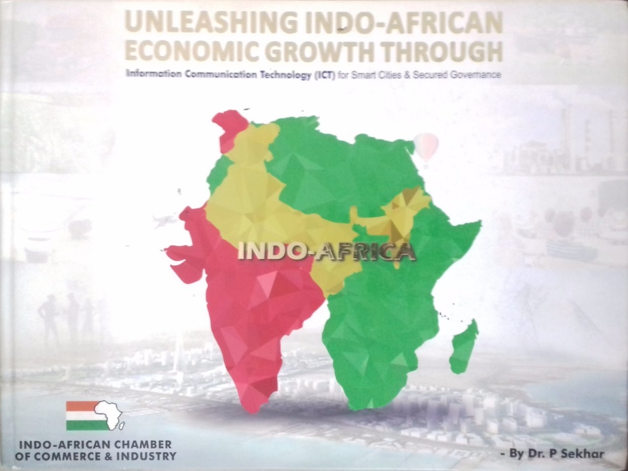 Unleashing Indo - African Economic Growth