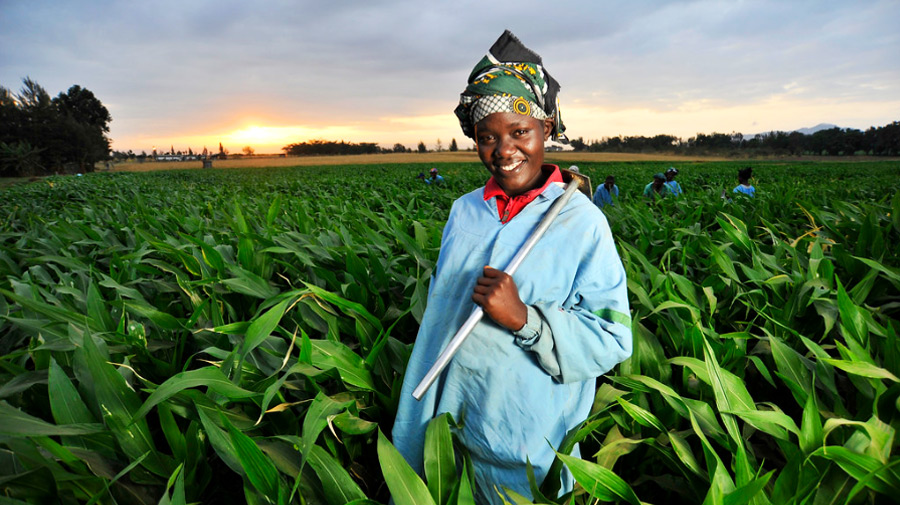 africa-cooperation-agricultural-sector